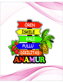 Anamur Yön Magnet Modeli 100 Adet Fiyatı