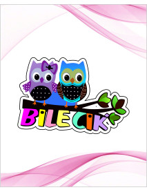 Bilecik Baykuş Magnet Modeli 100 Adet