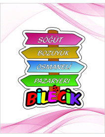 Bilecik Yön Magnet Modeli 100 Adet